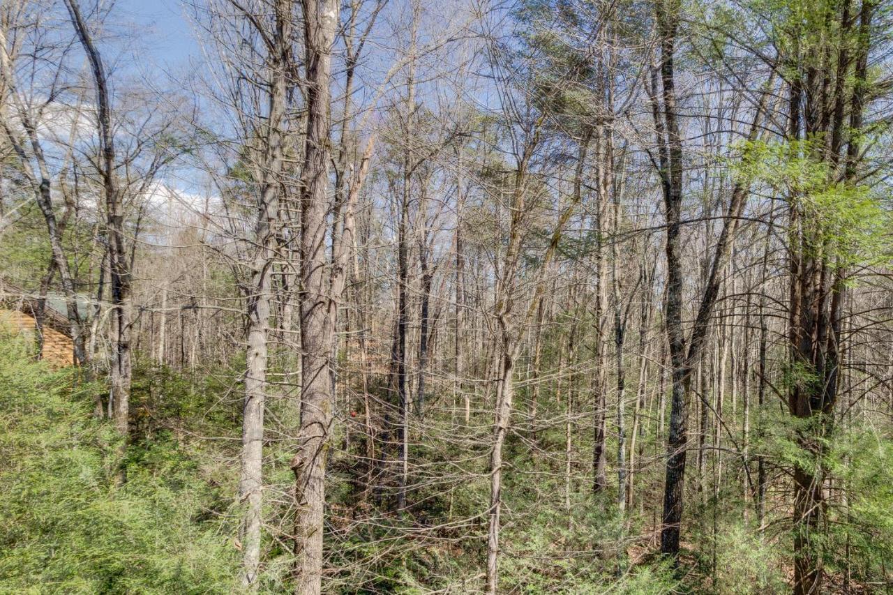 Tennessee Treasure ピジョンフォージ エクステリア 写真