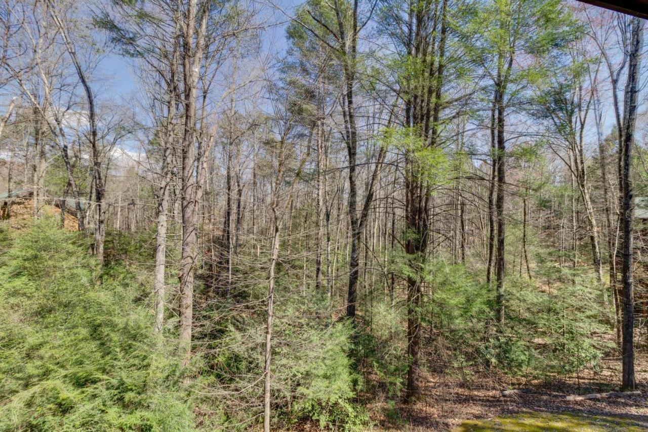 Tennessee Treasure ピジョンフォージ エクステリア 写真
